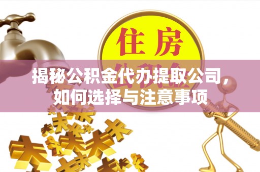 广宁揭秘公积金代办提取公司，如何选择与注意事项