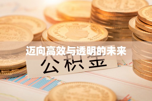 广宁迈向高效与透明的未来