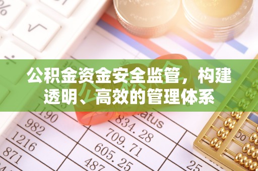 广宁公积金资金安全监管，构建透明、高效的管理体系